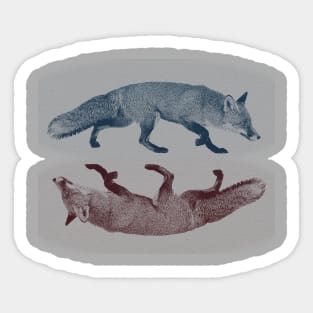 FOX Sticker